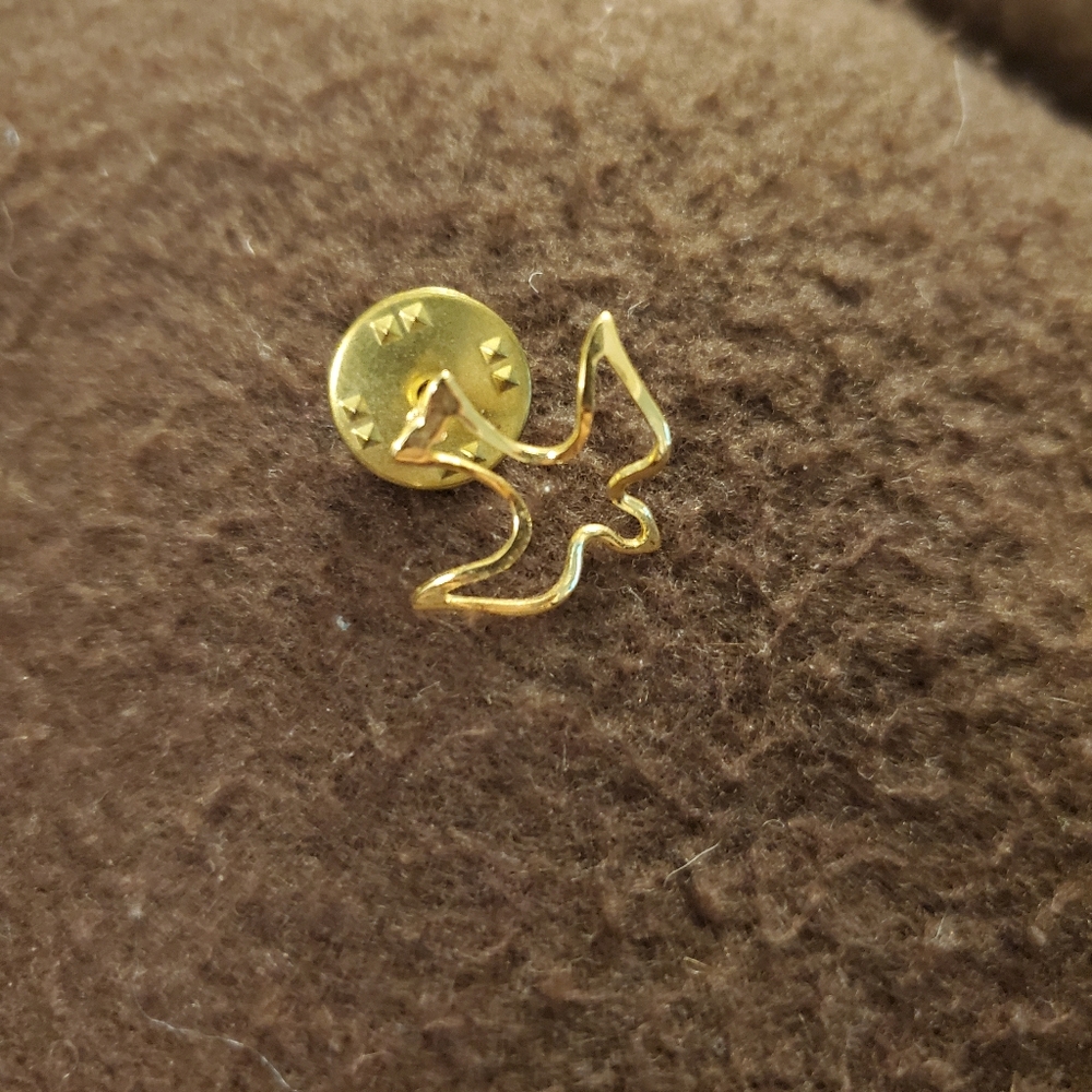 Bird/Dove pin